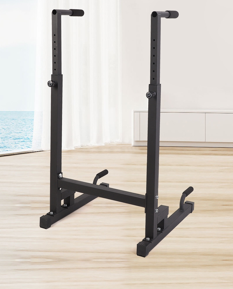 Heavy Duty Dipping Station Dip - مراجعة Dip Bar Parallel وسعره